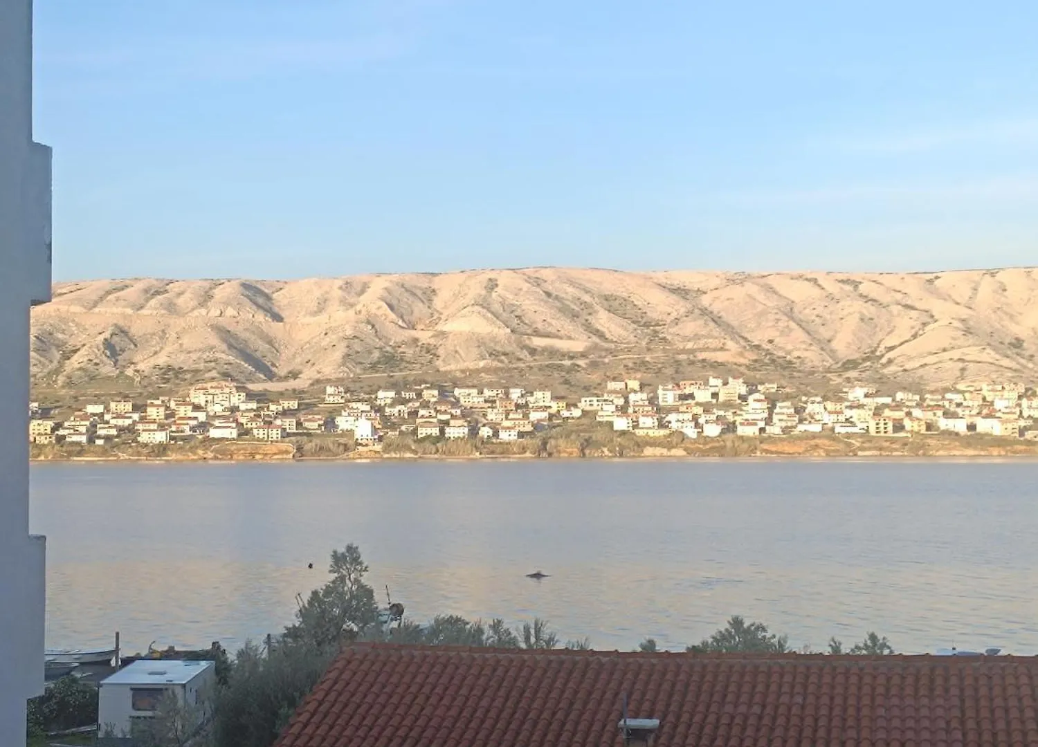 Apartmani Leonidas Pag  Pag Town